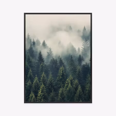 Poster med ram - Thick fog over a green coniferous