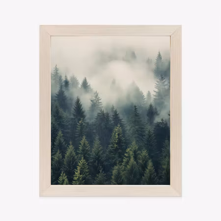 Poster med ram - Thick fog over a green coniferous