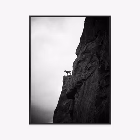 Poster med ram - Mountain goat on rock black and