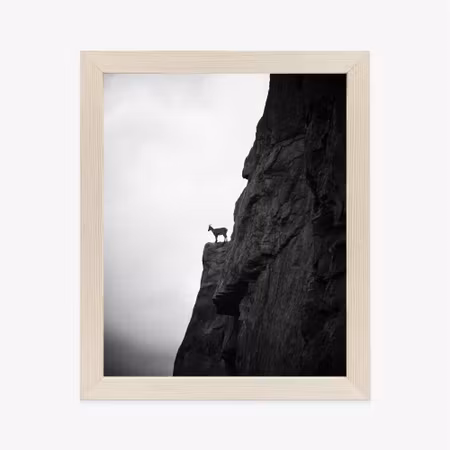 Poster med ram - Mountain goat on rock black and
