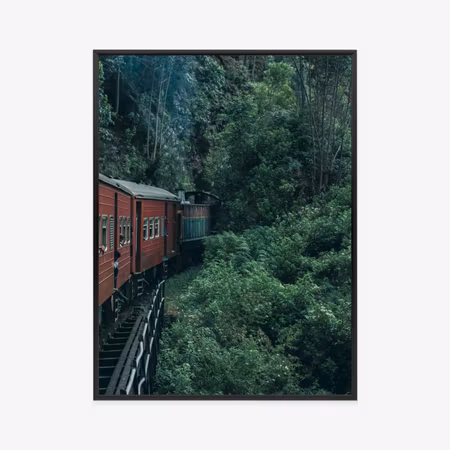 Poster med ram - Train and tea plantation in sri