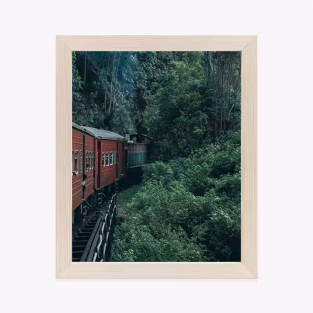 Poster med ram - Train and tea plantation in sri