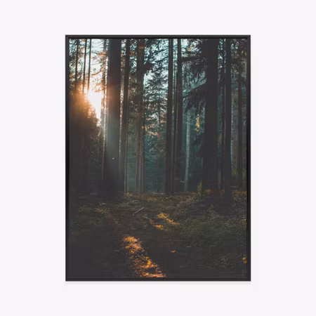 Poster med ram - Mystical summer morning in a