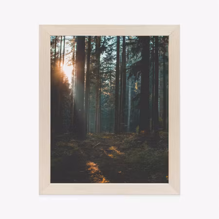 Poster med ram - Mystical summer morning in a