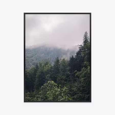 Poster med ram - Morning in the mountains with fog