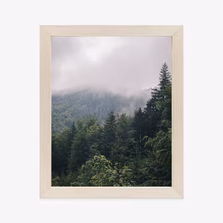 Poster med ram - Morning in the mountains with fog