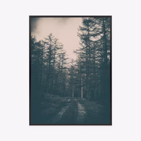 Poster med ram - Path in a dark forest