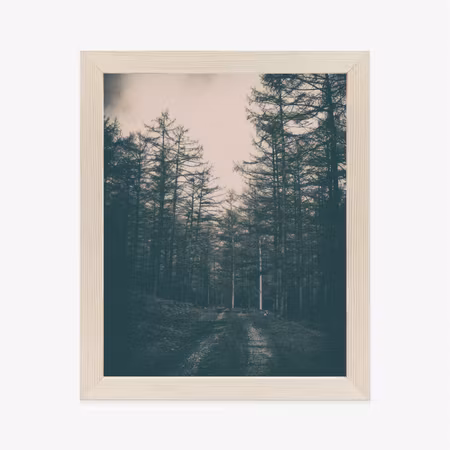 Poster med ram - Path in a dark forest