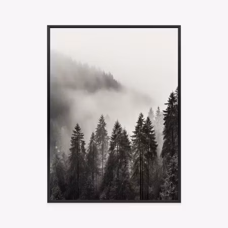 Poster med ram - Mountain forest with thick fog