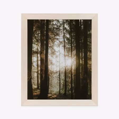 Poster med ram - Mystical morning in a coniferous