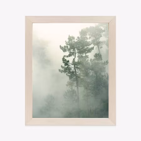 Poster med ram - Fog in the green forest nature