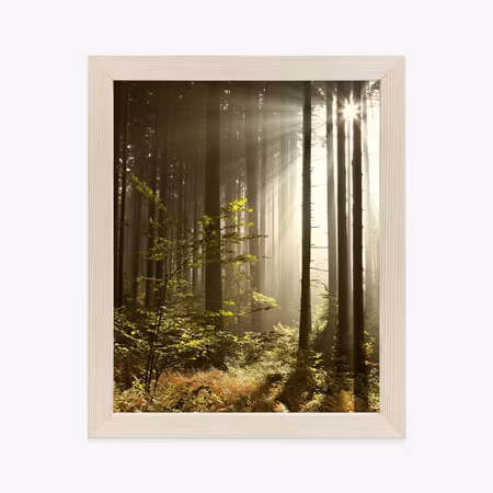 Poster med ram - Wild vegetation in the forest in