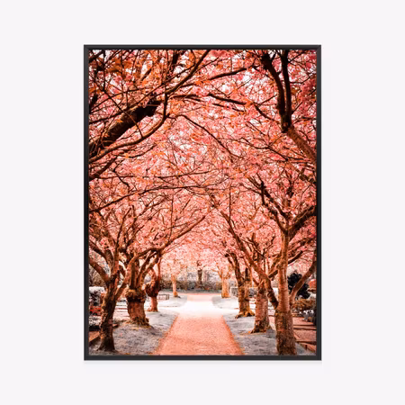 Poster med ram - Pink trees autumn landscape