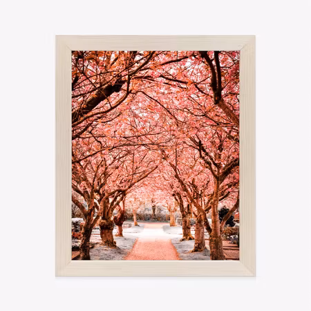 Poster med ram - Pink trees autumn landscape