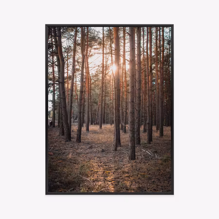 Poster med ram - Mystical landscape with sunset in