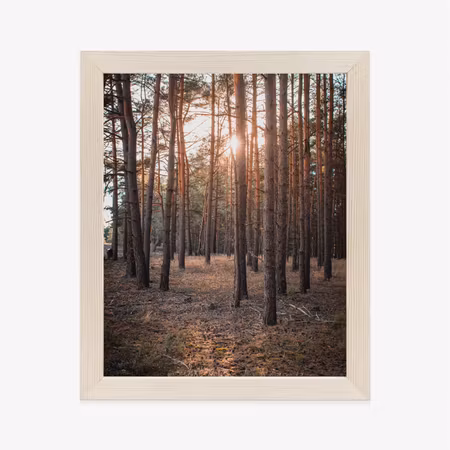 Poster med ram - Mystical landscape with sunset in