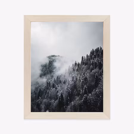 Poster med ram - Winter forest landscape in the