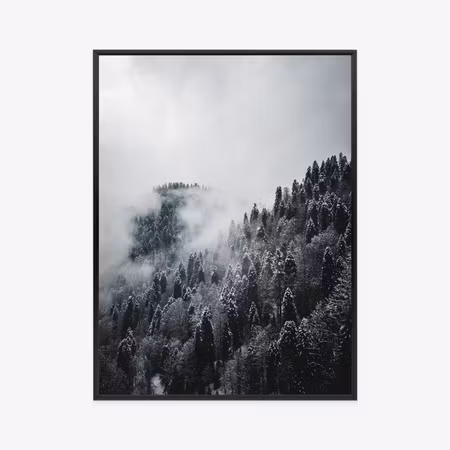 Poster med ram - Winter forest landscape in the
