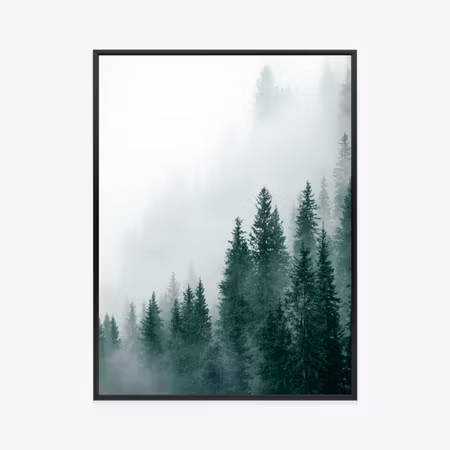 Poster med ram - Dense fog rising over the pine