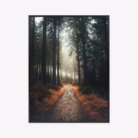 Poster med ram - Path in the forest on a foggy