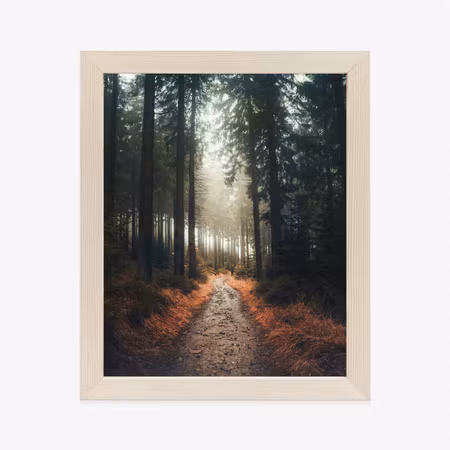 Poster med ram - Path in the forest on a foggy