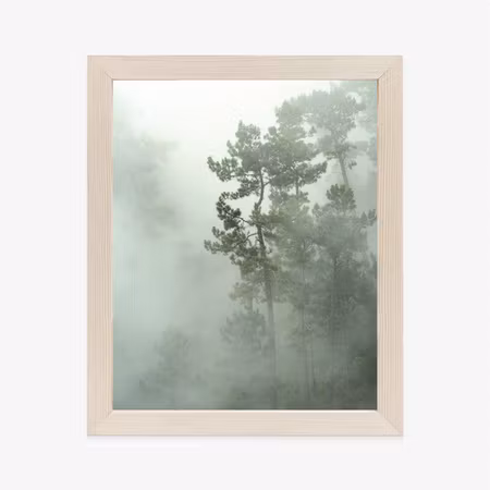 Poster med ram - Forest landscape of trees in the
