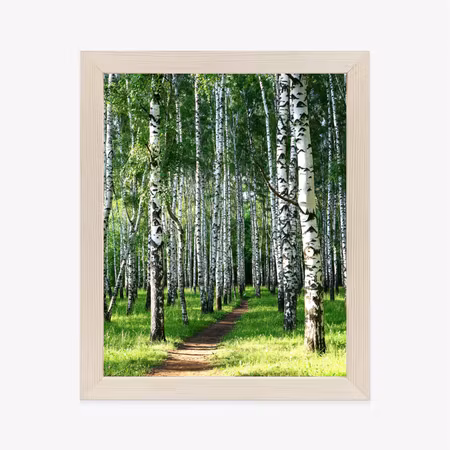 Poster med ram - Summer morning in a green birch