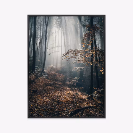 Poster med ram - Autumn forest with sun rays in