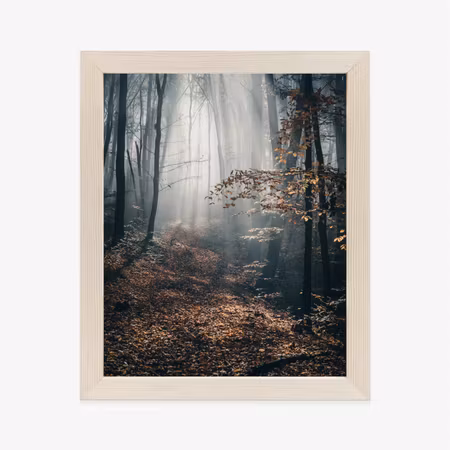 Poster med ram - Autumn forest with sun rays in