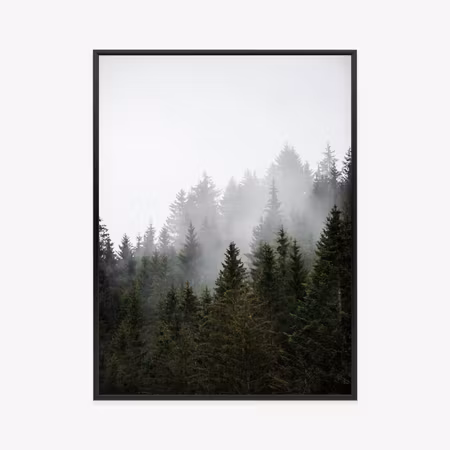 Poster med ram - Fog over the treetops in a