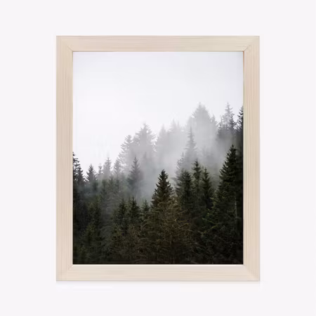 Poster med ram - Fog over the treetops in a