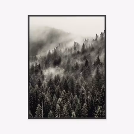 Poster med ram - Dark forest in the fog