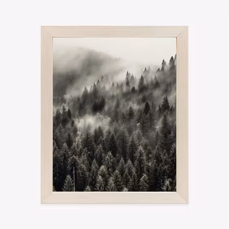 Poster med ram - Dark forest in the fog