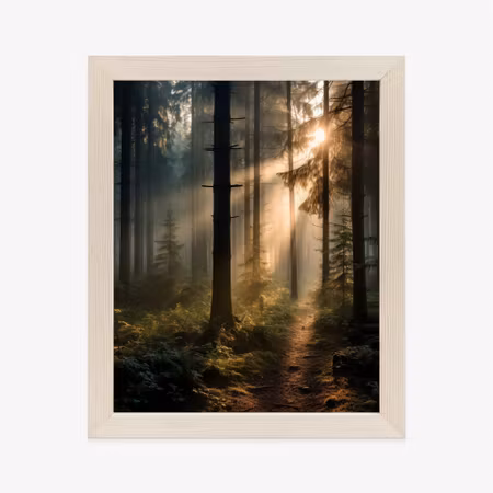 Poster med ram - Forest with sun rays in the