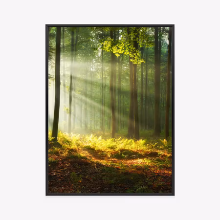 Poster med ram - Beautiful morning in the green