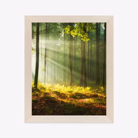 Poster med ram - Beautiful morning in the green