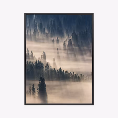 Poster med ram - Misty mountain forest nature