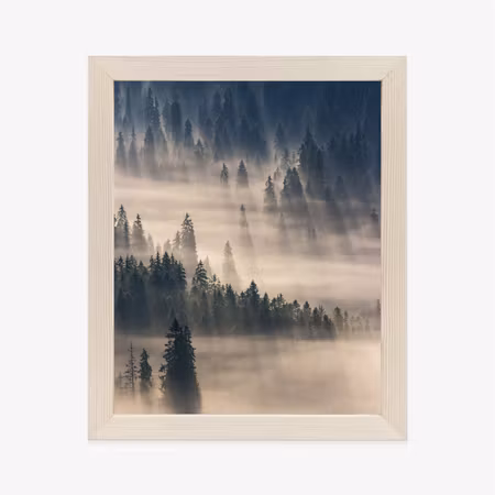 Poster med ram - Misty mountain forest nature