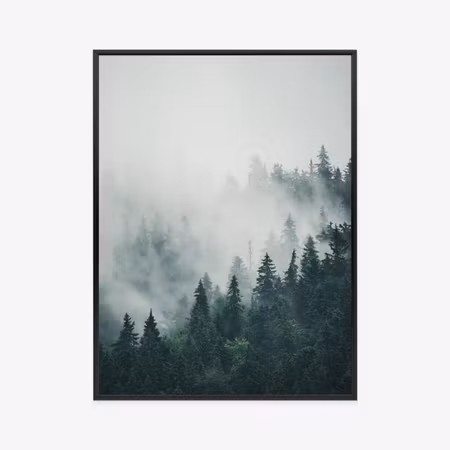 Poster med ram - Green coniferous trees on