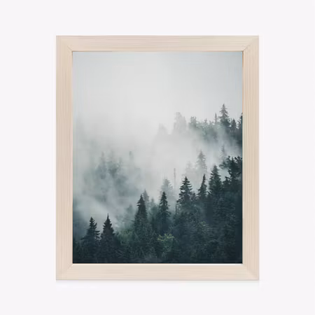 Poster med ram - Green coniferous trees on