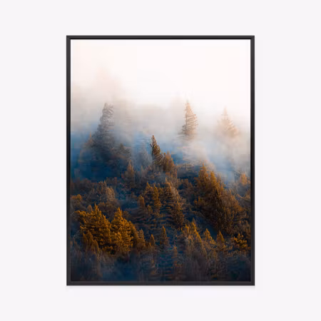 Poster med ram - Tree crowns in the fog in the