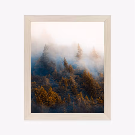 Poster med ram - Tree crowns in the fog in the