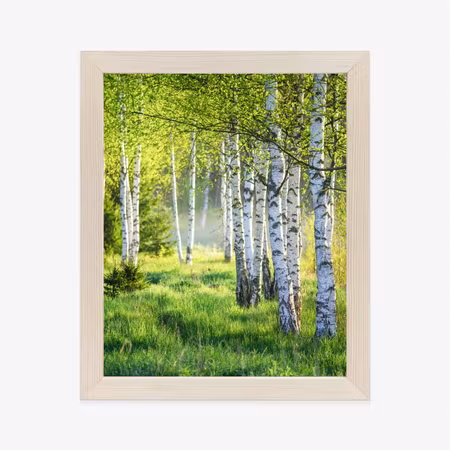 Poster med ram - Spring green birch grove