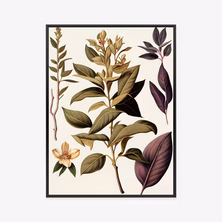 Poster med ram - Vintage medicinal plant