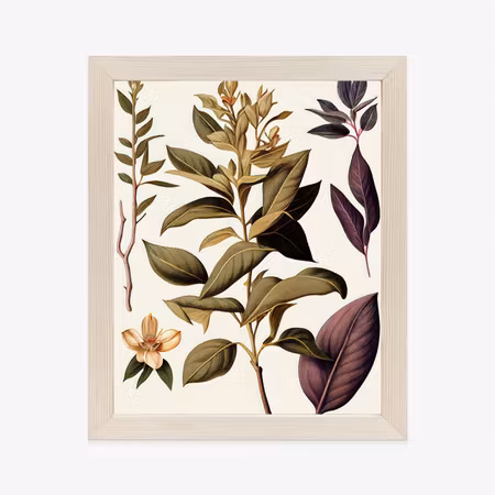 Poster med ram - Vintage medicinal plant