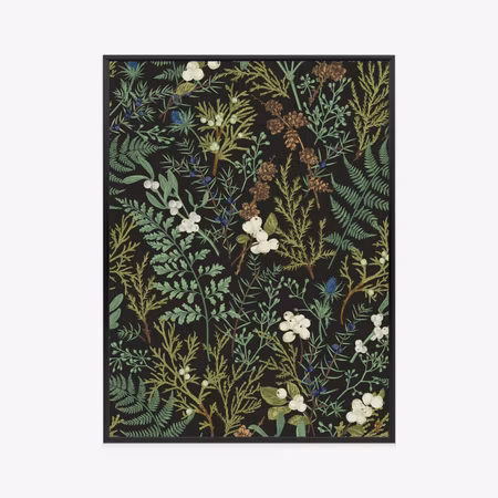 Poster med ram - Plants on a dark background