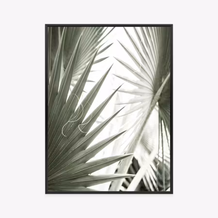 Poster med ram - Palm leaves close up