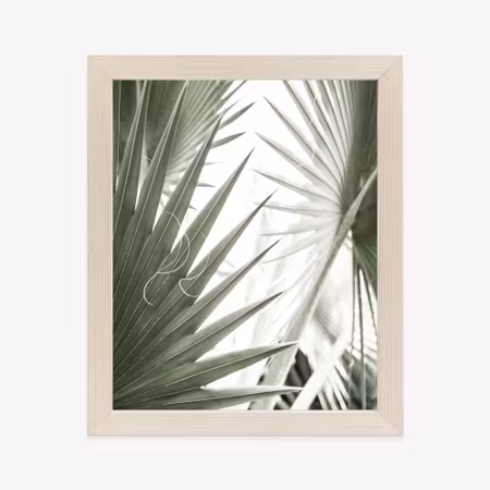 Poster med ram - Palm leaves close up