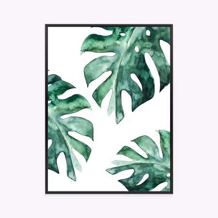Poster med ram - Three watercolor monstera leaves