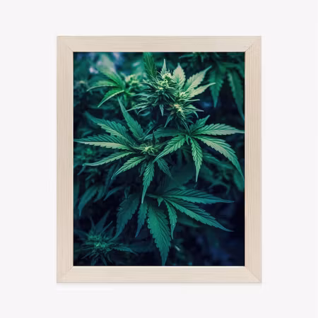 Poster med ram - Green hemp close up